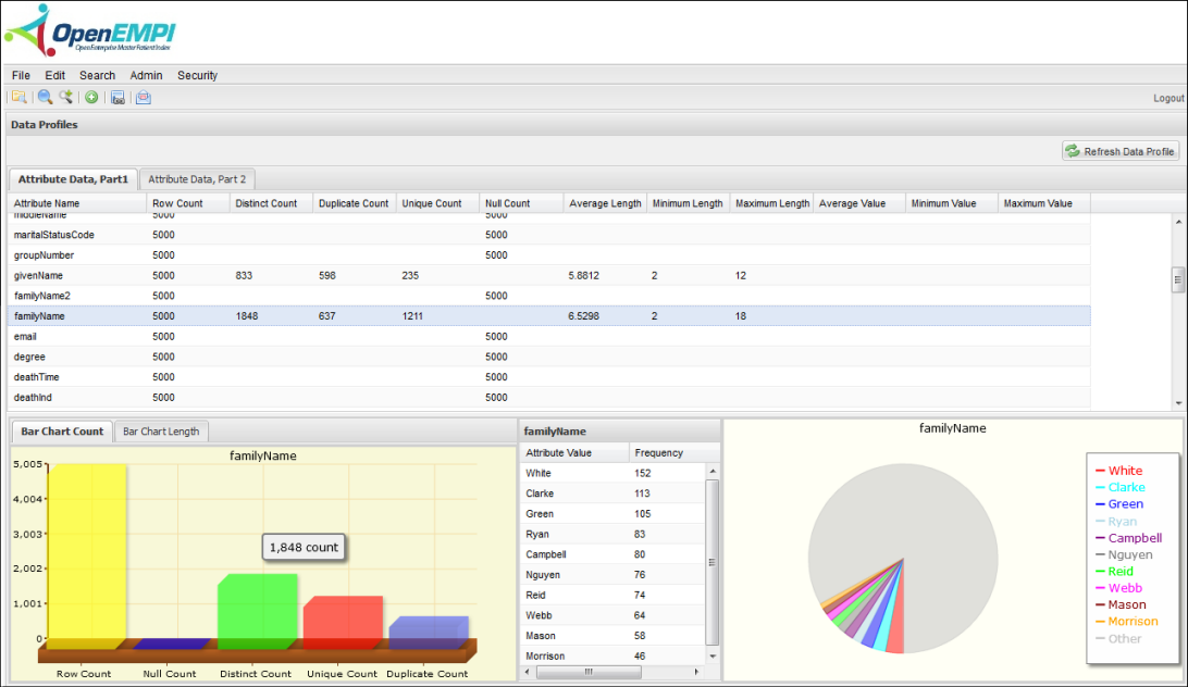 Data Profile screenshot